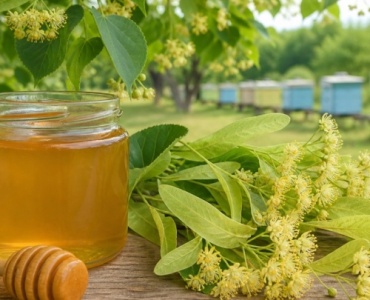 Miód lipowy - naturalny sposób na przeziębienie i lepszy sen